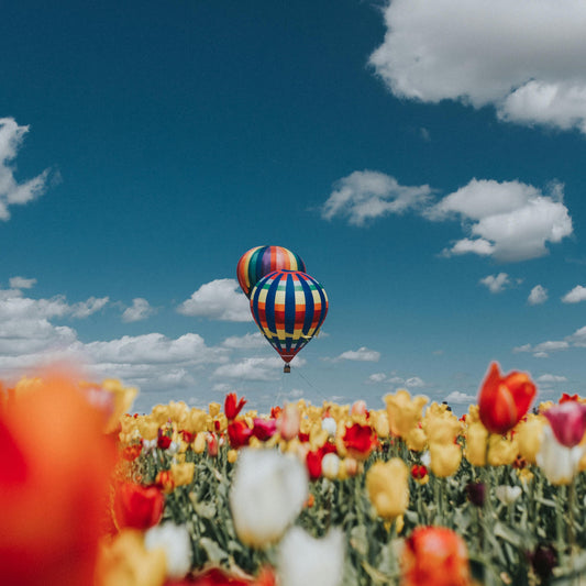 *limited time* Spring Equinox Expansion Bundle 🌷🦋✨