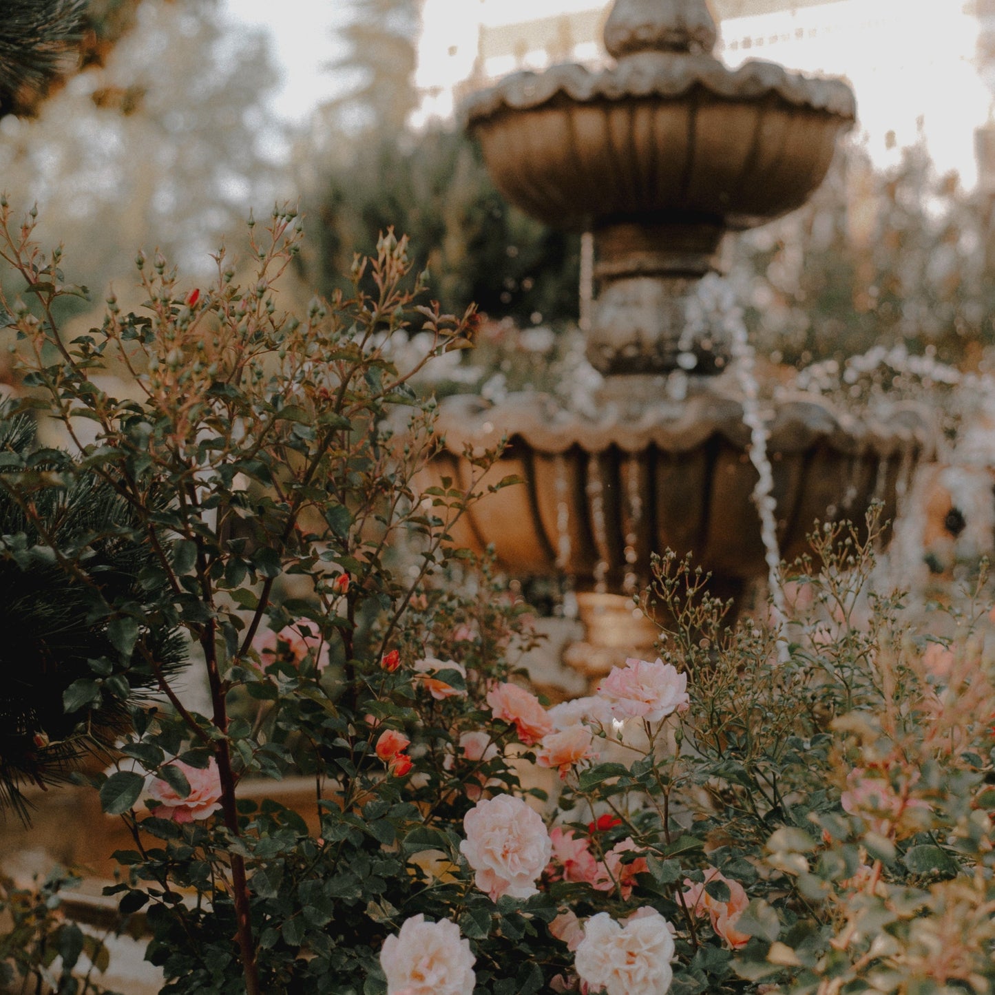 あなたの恋愛関係の全てが分かる!LOVEリーディング💗