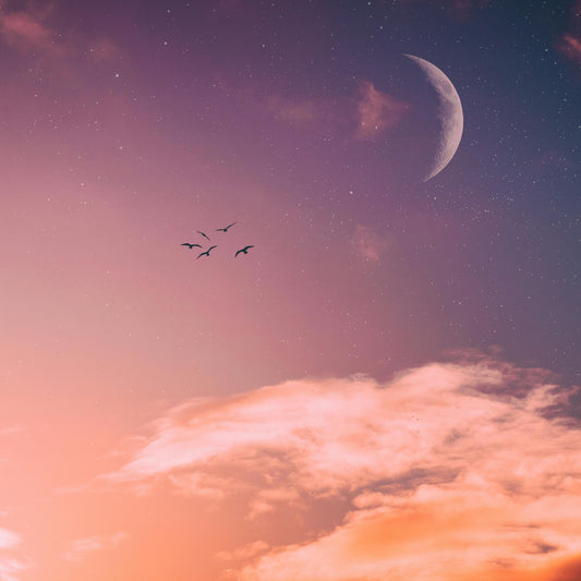 *new* Moon Magic 🌙